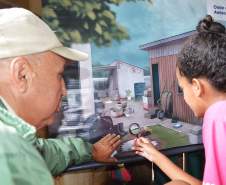 Programa Família Paranaense entra na guerra contra o Aedes aegypti