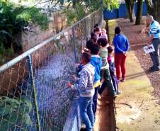 Sanepar incentiva crianças a preservar rios urbanos em Foz do Iguaçu