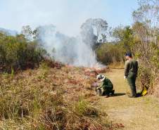 Fogo controlado vai restaurar biodiversidade de Vila Velha