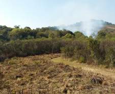 Fogo controlado vai restaurar biodiversidade de Vila Velha