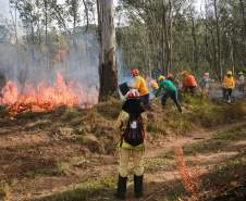 IAT capacita 65 voluntários para atuar em incêndios em Unidades de Conservação