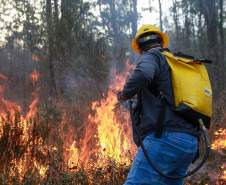 IAT capacita 65 voluntários para atuar em incêndios em Unidades de Conservação