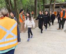 Estado capacita 5,8 mil servidores da educação para atuar como brigadistas