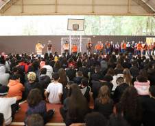 Estado capacita 5,8 mil servidores da educação para atuar como brigadistas