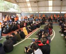 Estado capacita 5,8 mil servidores da educação para atuar como brigadistas