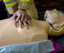 Estado capacita 5,8 mil servidores da educação para atuar como brigadistas