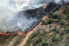 Avião contratado pelo Estado é acionado para combater incêndio florestal em Palmeira