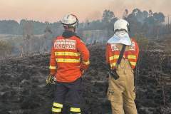 Incêndios florestais no Paraná caem 57% entre a primeira quinzena de setembro e outubro